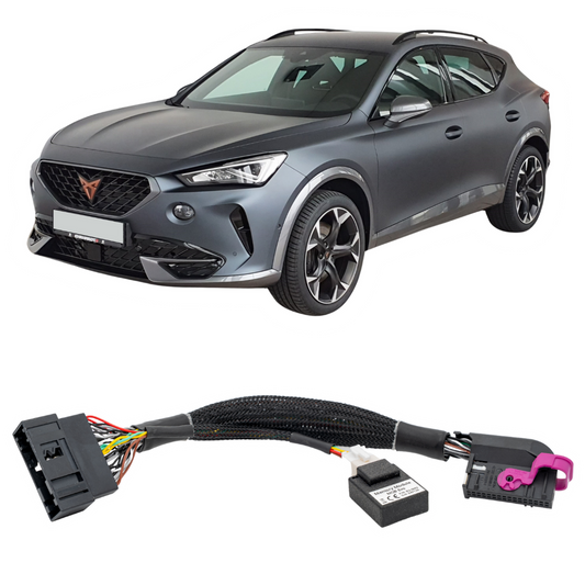 Cupra Formentor - Memory module